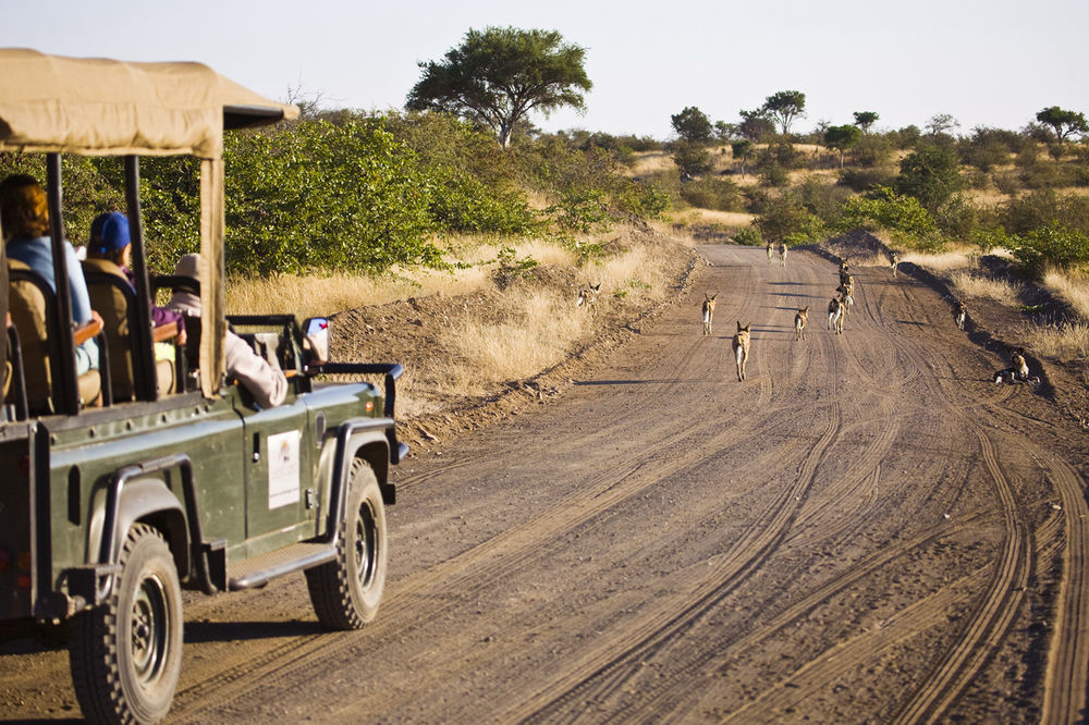 Tuli Safari Lodge Lentswelemoriti Extérieur photo